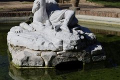 D1A9750