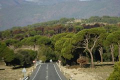 D1A0247