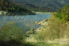 D1A0261
