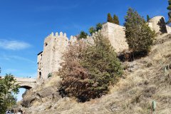 IMG_20261025_112548